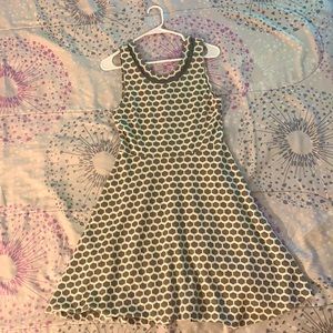 Pixley brand. Medium. Knee length (5’3”).